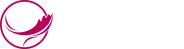 纽约国际