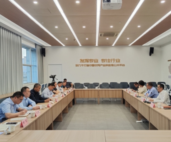 ?广西河池市委书记秦春成领导一行莅临调研